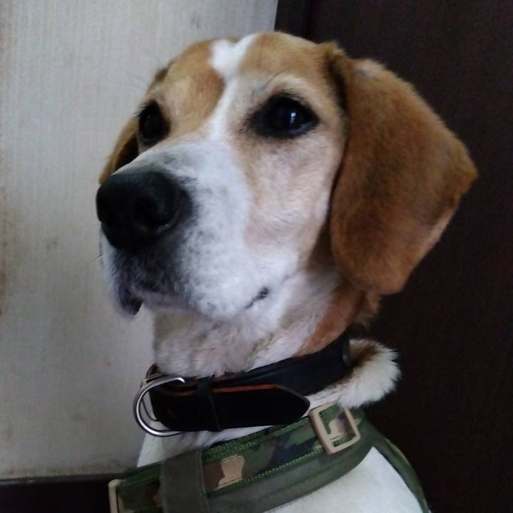 5ed3b99e 110c 4701 a8fe 4b855f58cfb9 1712662890264