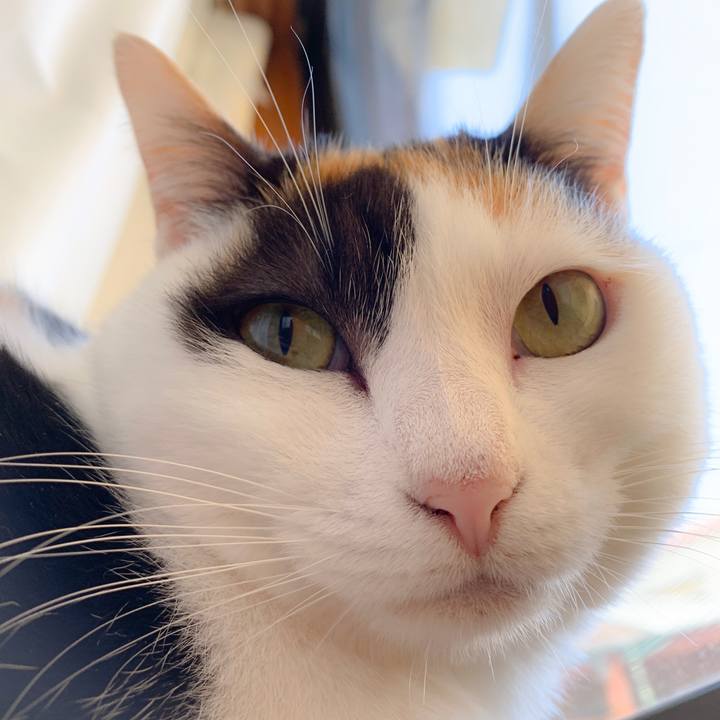 5ed3c41c 9bef 4585 9a3e 40e5610741b2 1557538226380