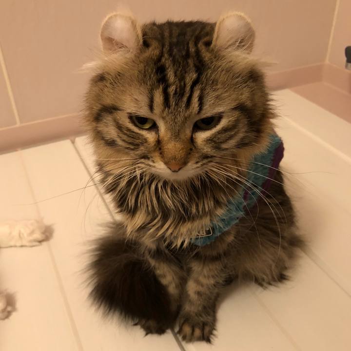 5ed3d0b5 4005 41fe 980f 4ddd35f0c555 1545236168856