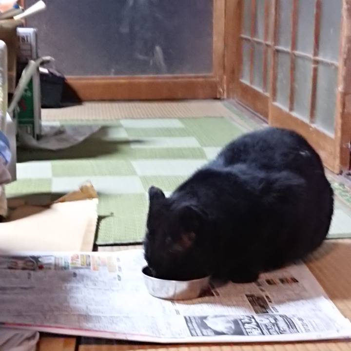 5ed43047 ef16 4015 b316 7b82c4ab6a94 1615200149002