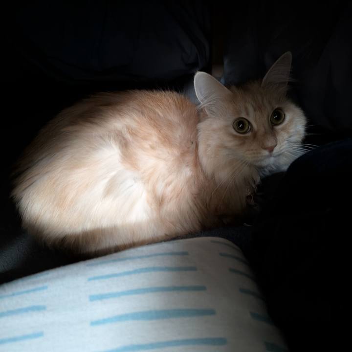 5ed4315e 5c7b 4eff 9e58 6f9063e8feca 1762998272403