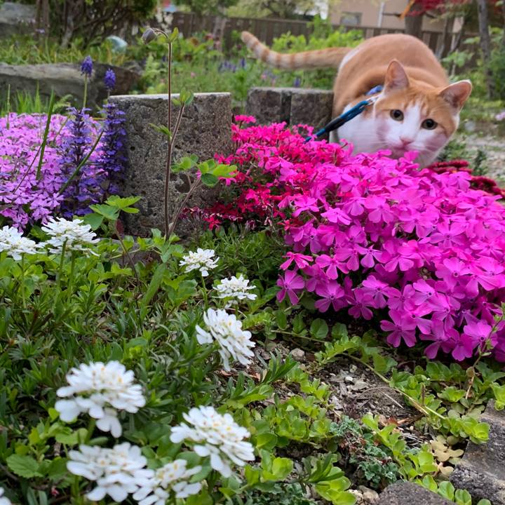 5ed466c5 a52d 4b74 98e8 869861535f44 1588502500705