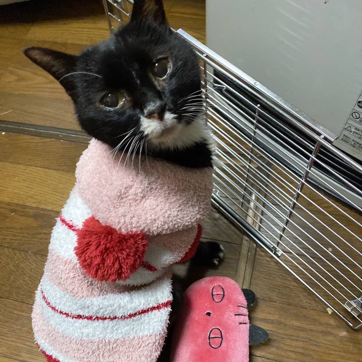 5ed470fd d909 43d0 a5e1 bd87f3e68f2f 1643520724098