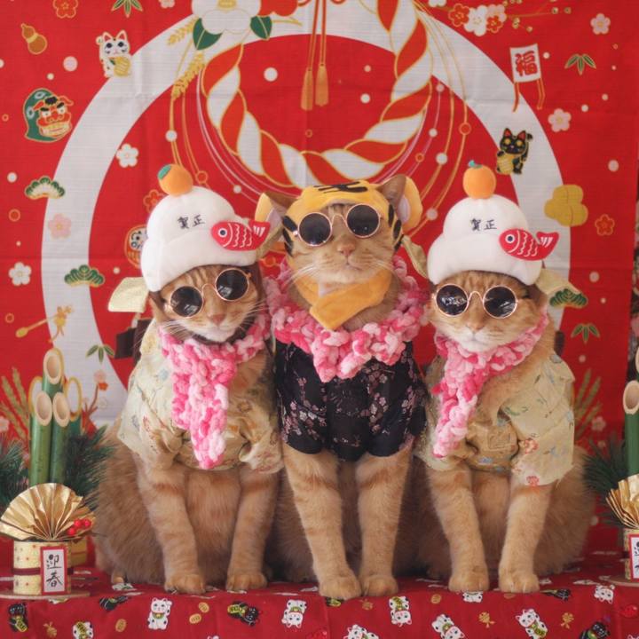 5ed4abc6 5978 409c b1ef 42bd60168eeb 1640968058572