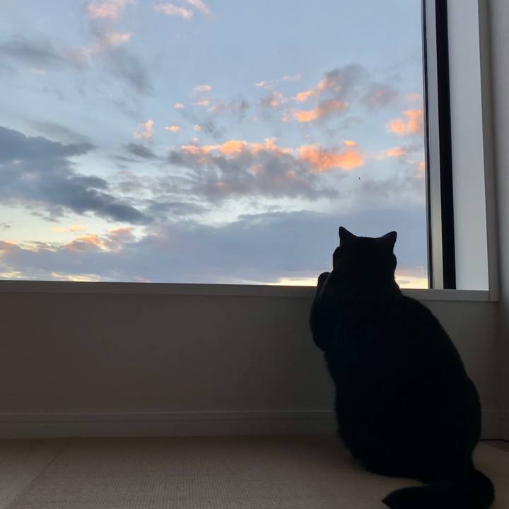 5ed4b269 8538 4b9d a583 dfa179506998 1636097523534