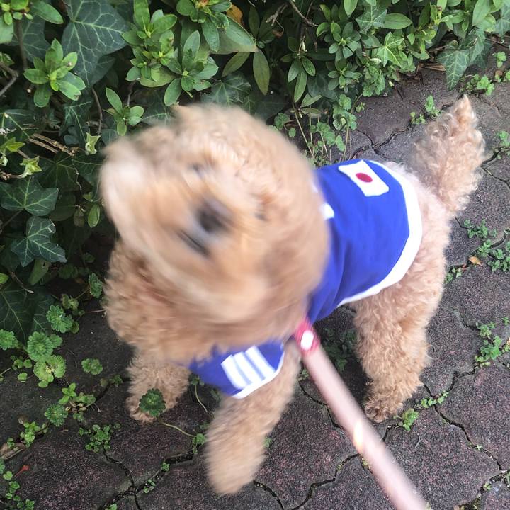 5ed4b814 c53c 406a 9b7f 57b44a82d3c0 1616665690419