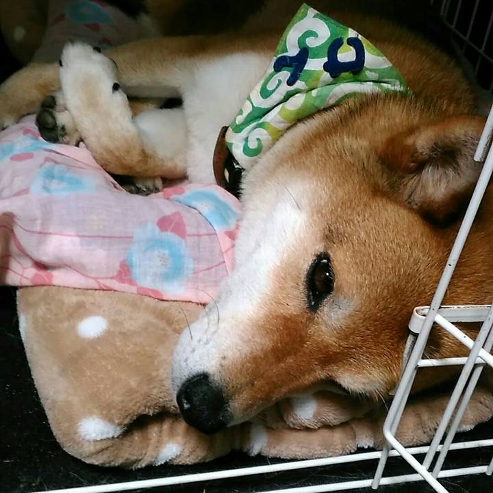 5ed50658 58e6 4c2c bfd7 0793217762d0 1561947236289