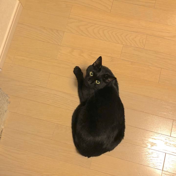 5ed51d34 1200 48d3 a802 5736a3297953 1516883243016