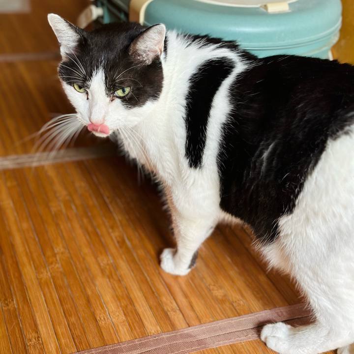 5ed5356e 2f2f 473f 800f 3d82364cde82 1724895469394