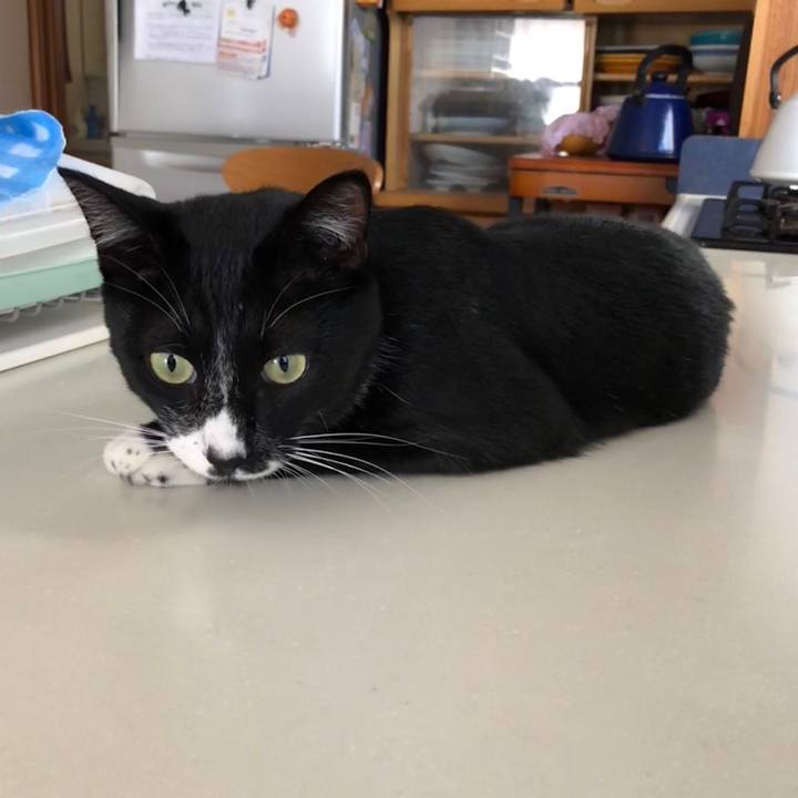 5ed535d1 3507 4535 9b43 d92615b6d699 1535512983166