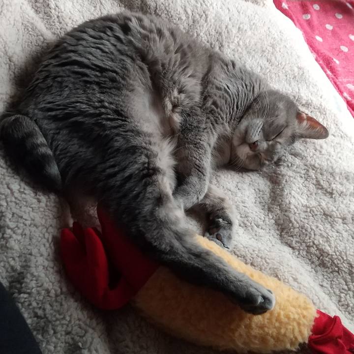 5ed54e10 6bbd 468a a1a7 175812befafb 1681632543693