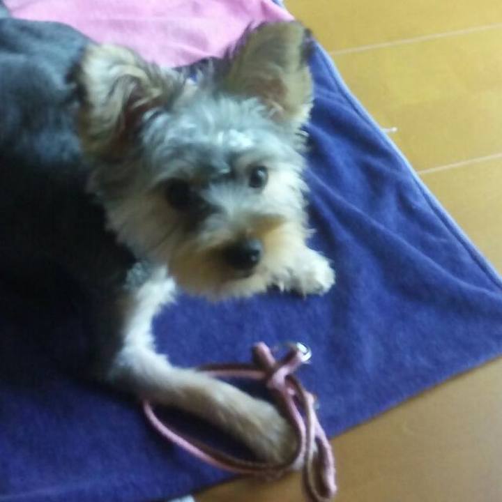 5ed56735 2a43 45e3 b3d0 f501e0421b04 1535700859061