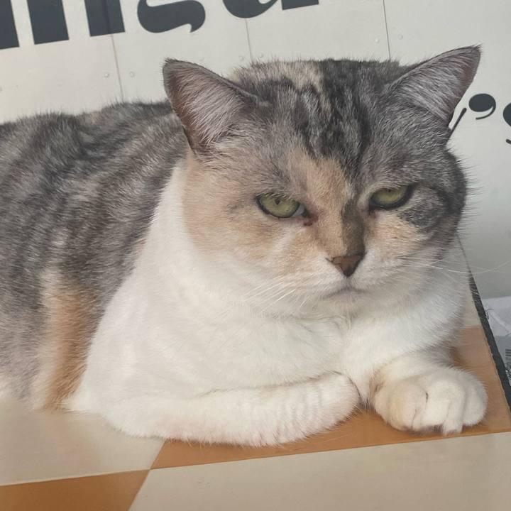 5ed59ca8 0592 40d5 8926 e28ad7065224 1714289335288