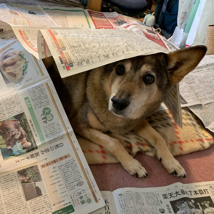 5ed59d8a 95cd 4a99 a2db 17814505e2bc 1561451317076