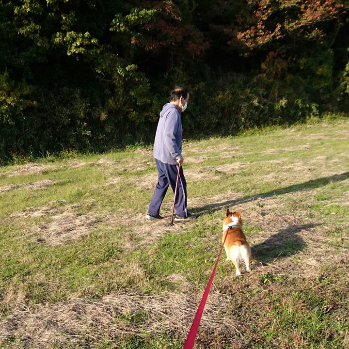 5ed5a2dd c76b 4f5d 8390 5ed3672ef53d 1605425716118