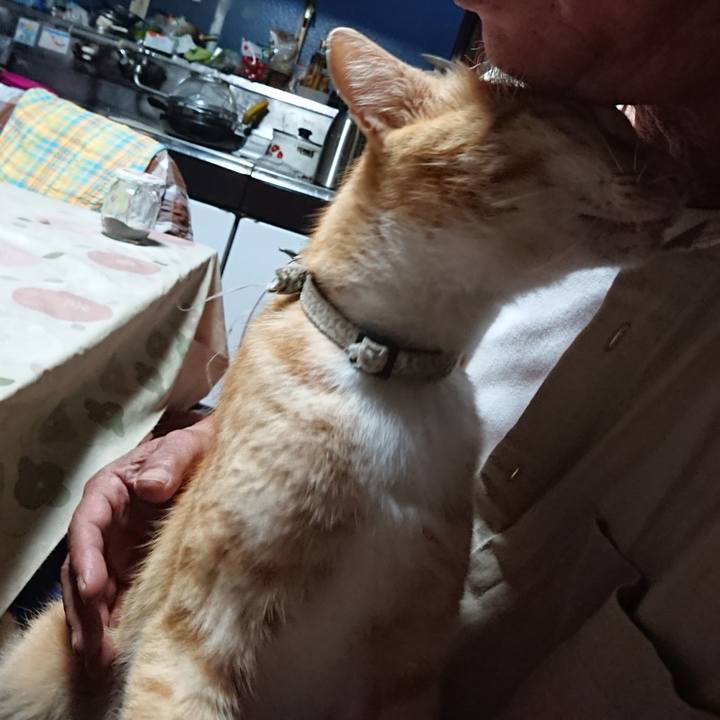 5ed5da73 0bc7 4878 93da 140cb6e809d0 1593545336153