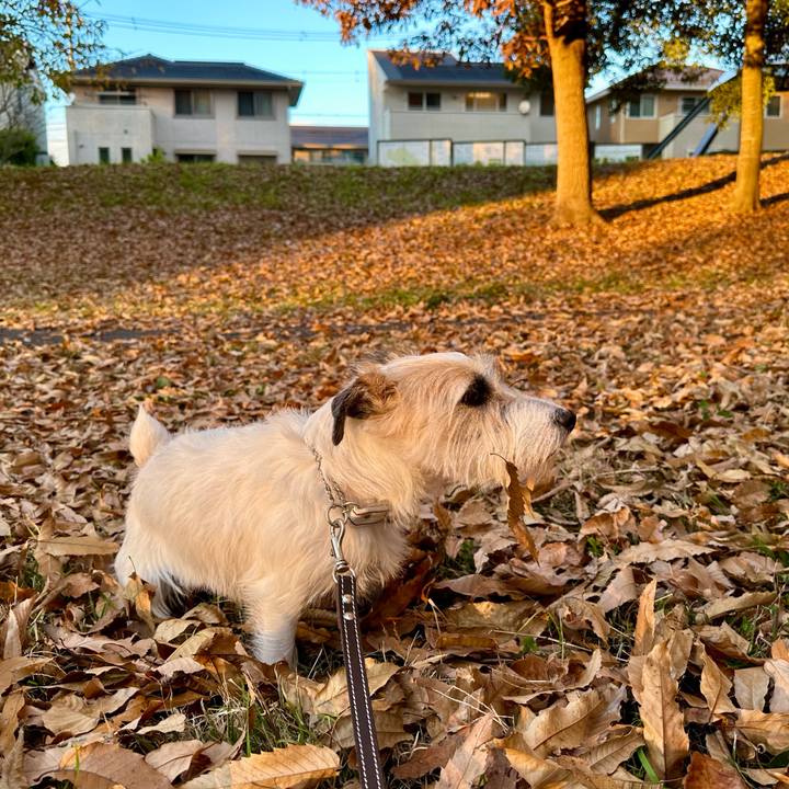 5ed5db3e 9ff8 4ec5 8949 8b51dc0b3f05 1733624712346