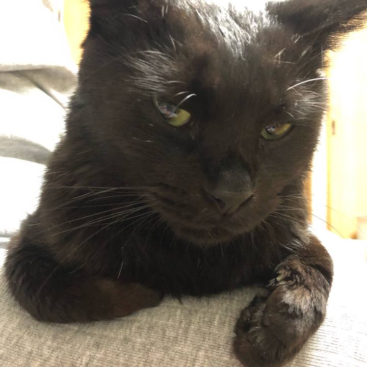 5ed6349d 449d 4eb5 af11 044faeba9f4a 1594297839627