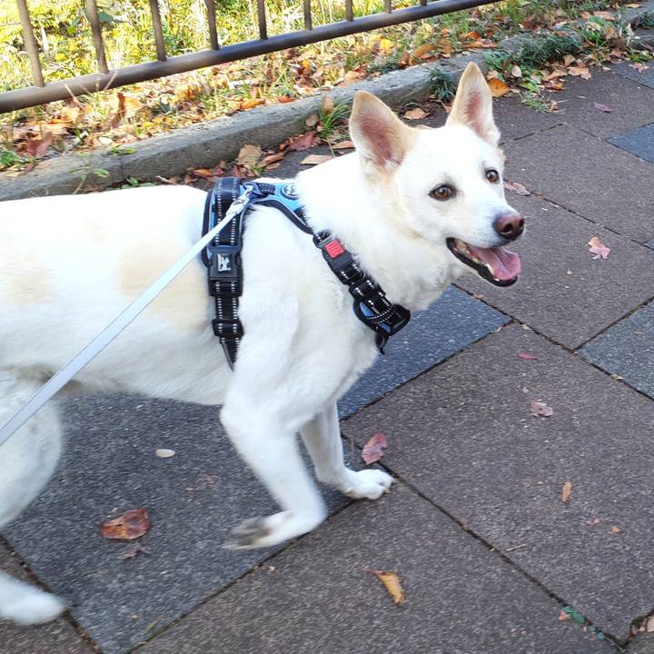 5ed63832 51ca 47f9 b65b 11c3f72a86a4 1637383287706