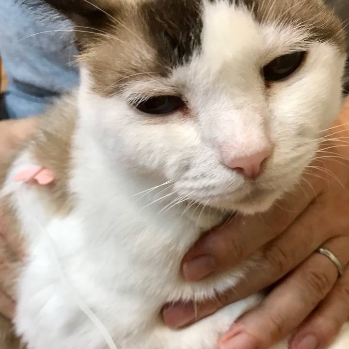 5ed69d15 759d 4f65 bca2 a155652d52be 1600259070238