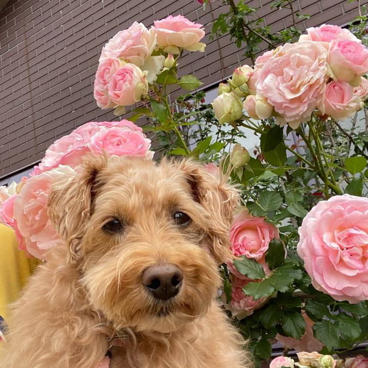 5ed6aad5 7683 48a6 84f1 e86bb950e787 1656368490918