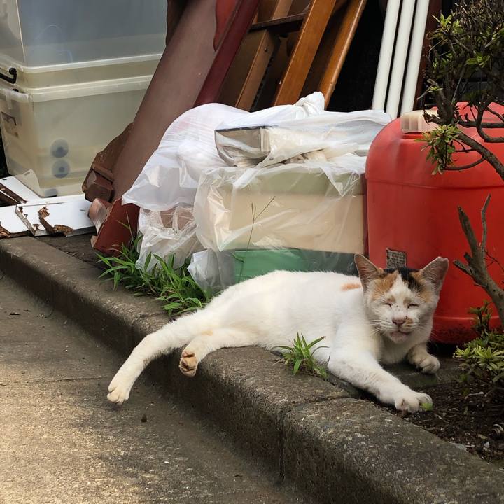 5ed6ec7d 6c47 4118 9fc6 bc780ffbb047 1595255813802