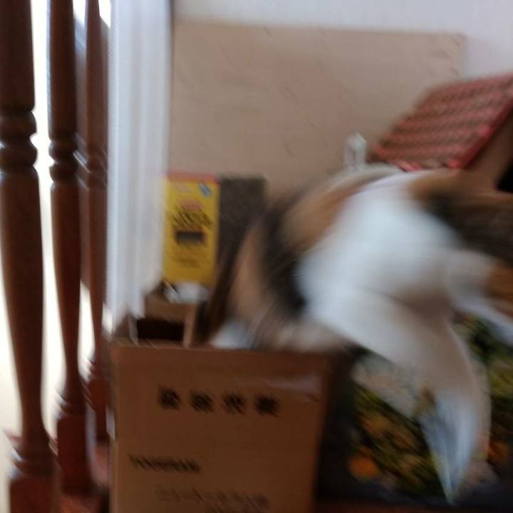 5ed75a0e a479 4866 b3f5 c0435c677926 1557046161585