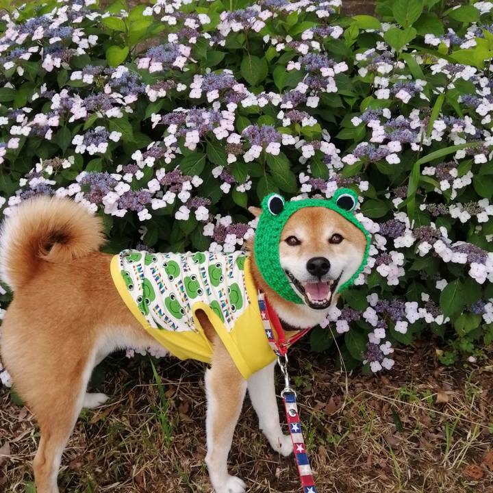 5ed783ce ea2d 48ce ad54 bf8ba9dd96a9 1654592969344