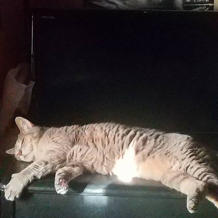 5ed7a517 afae 41fd 9d65 50b6b31a49cd 1662523437902