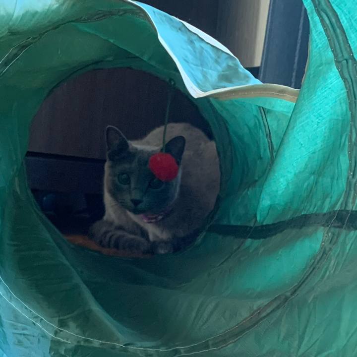 5ed7c76d bc9c 4da8 994c d27a362da790 1630368647534