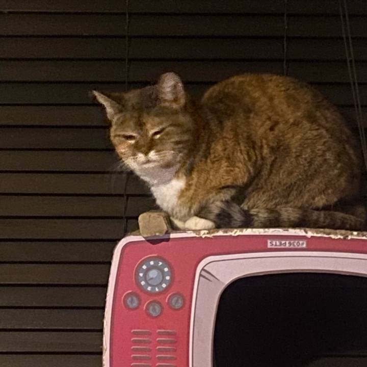 5ed7d223 6a15 47f0 b89f ce90ef4d7752 1678999539816