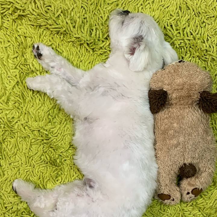 5ed7e07e 46ff 4b45 a54c 6edde85977aa 1639926933838