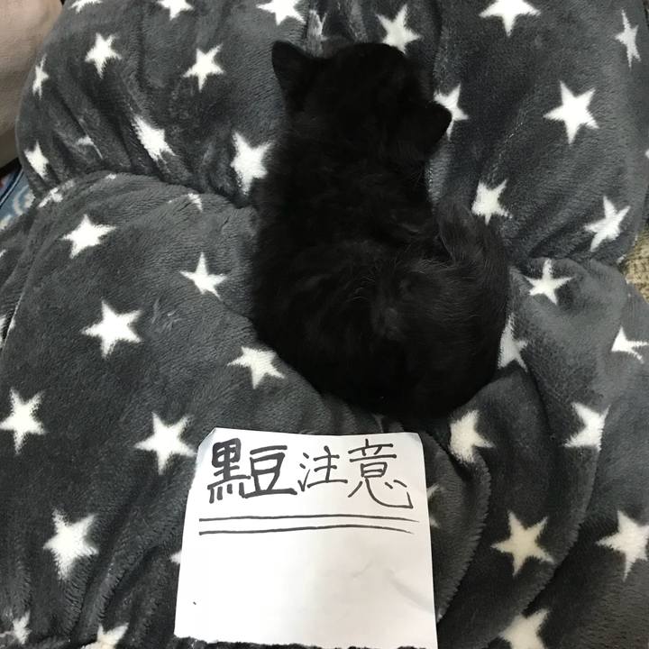 5ed7f59f 0c83 4549 bc71 ec7da3df367b 1510402607307