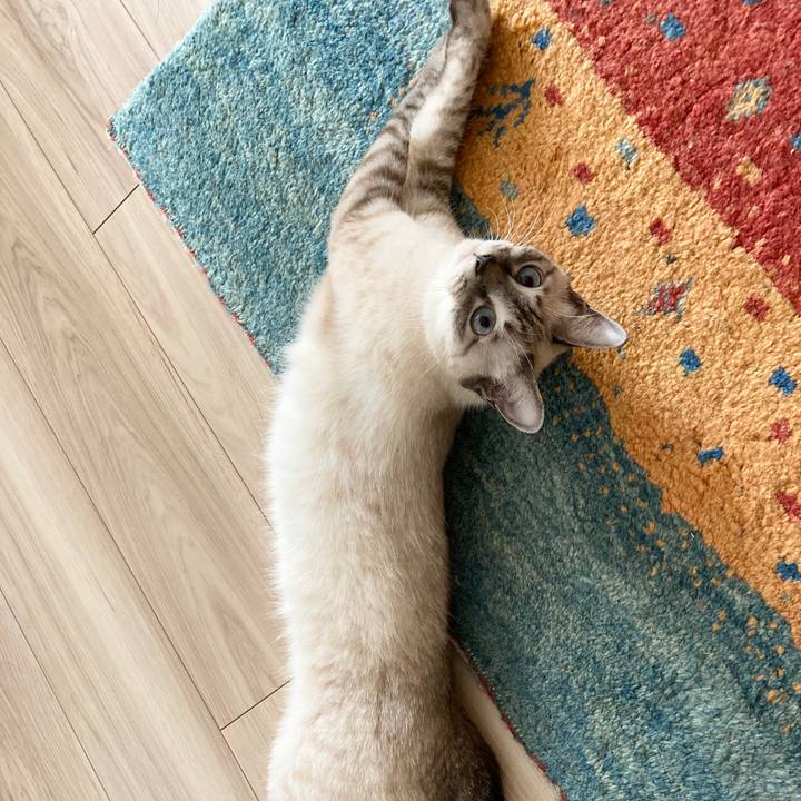 5ed82a38 a94c 4cd7 8628 6d2904b0cd65 1599692698180