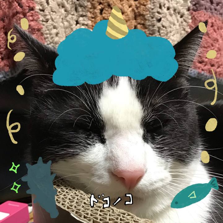 5ed87bf6 c60e 4e2e b35a f633759a54ac 1706867703341