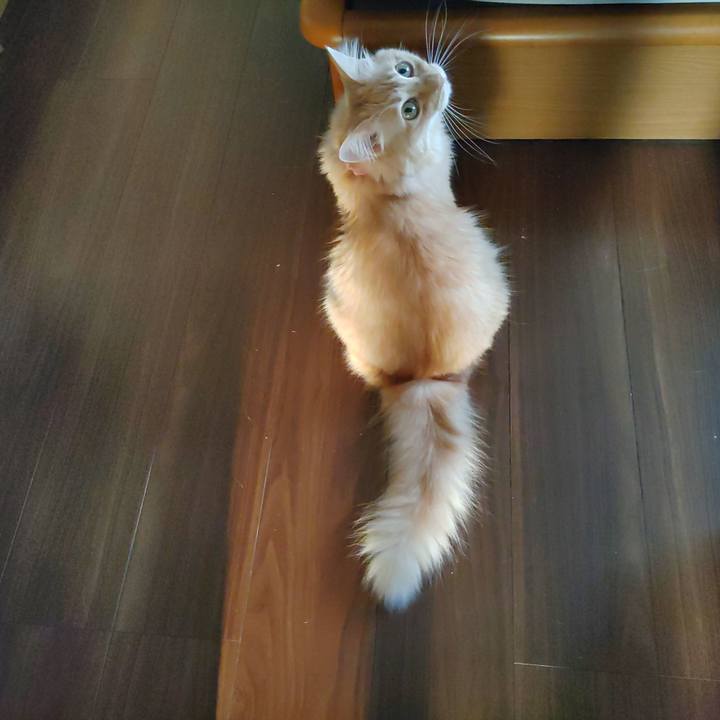 5ed88cb0 58bd 4532 b414 df9c14e42ad3 1663107396945