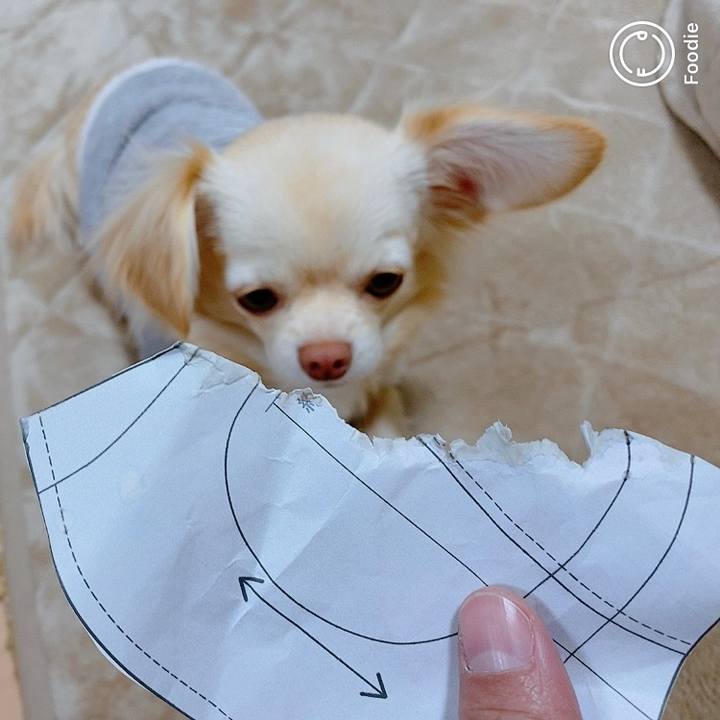 5ed88f68 ddc0 435b 8e59 69b57a7c8167 1613381911572