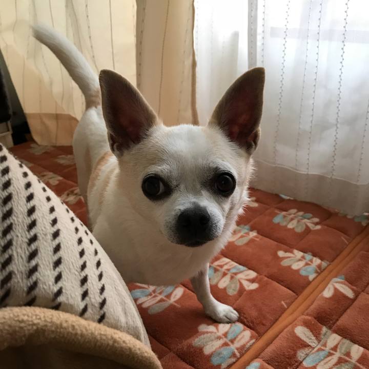 5ed898df 3987 4e3b 80e2 324fd4b56d8b 1509098742848