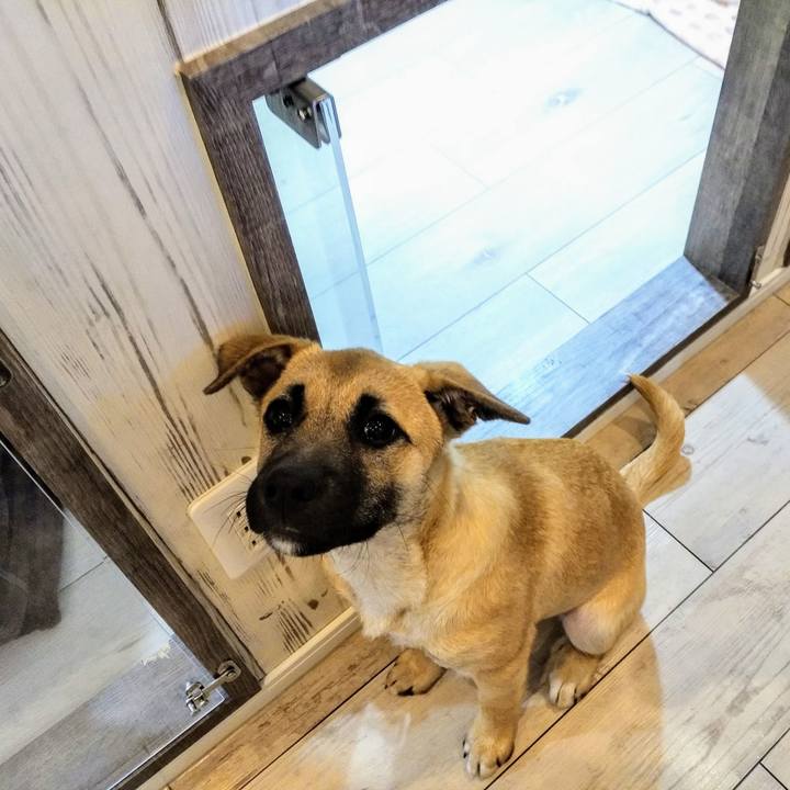 5ed8dd39 48ad 431d 8a9b c66248ea7248 1582516806872