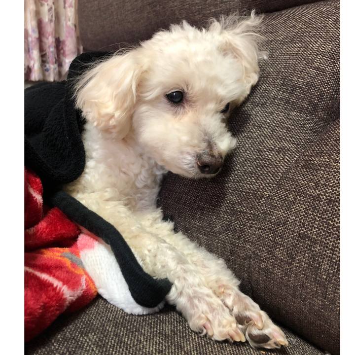 5ed90d8e 9ec2 40c7 8918 45086dfe0bfb 1554817869670