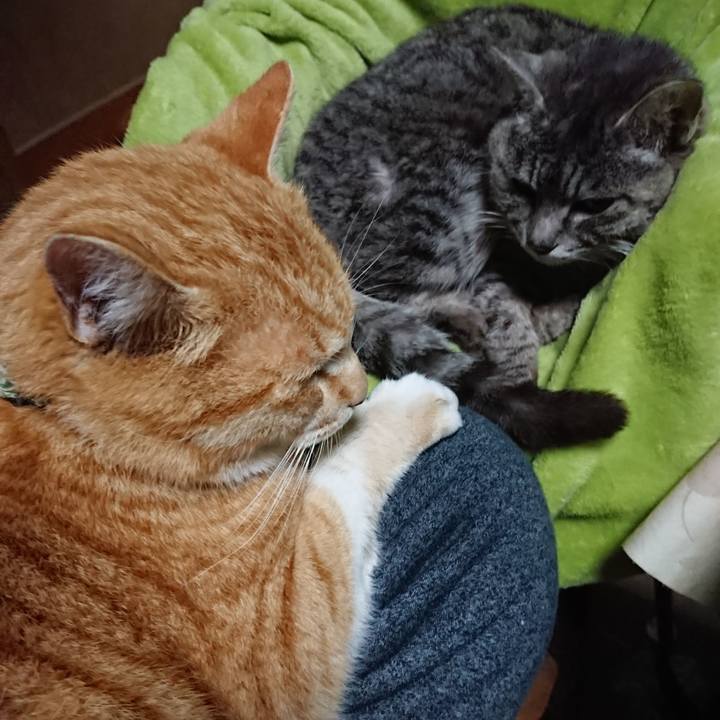 5ed91e49 4f30 45a2 8e7d fbf0501c7389 1583406338652