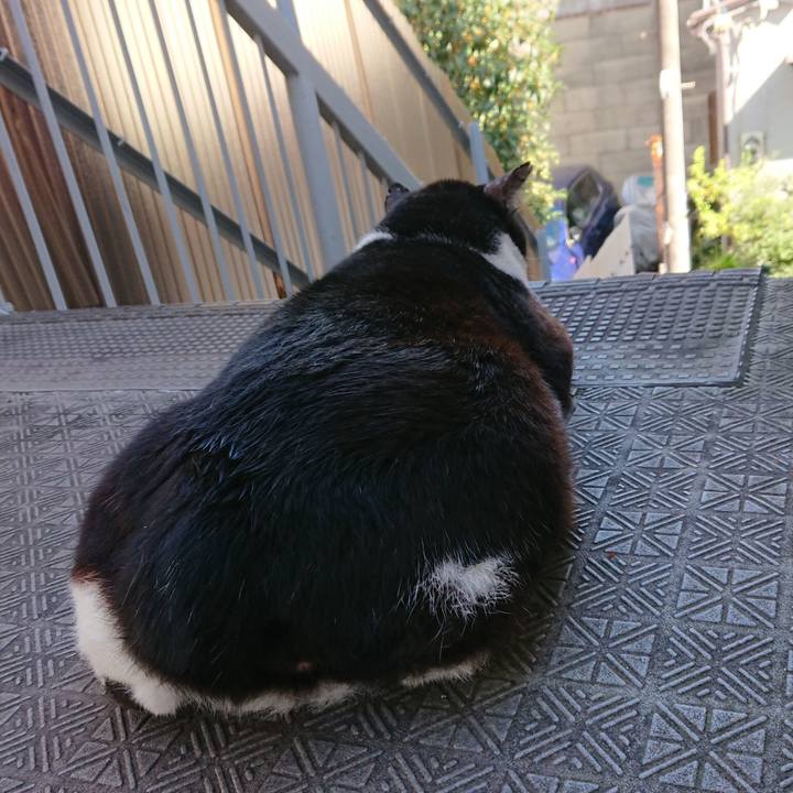 5ed92188 2200 4bad a22a e24938afe865 1538799629544