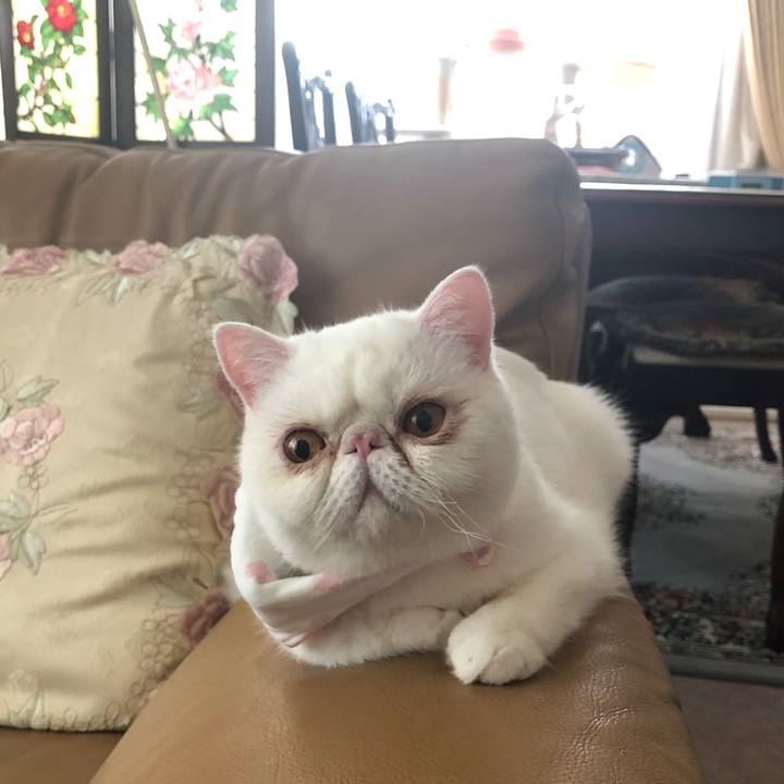 5ed93ccc 1742 47ac 8802 eca0da870426 1597098438921