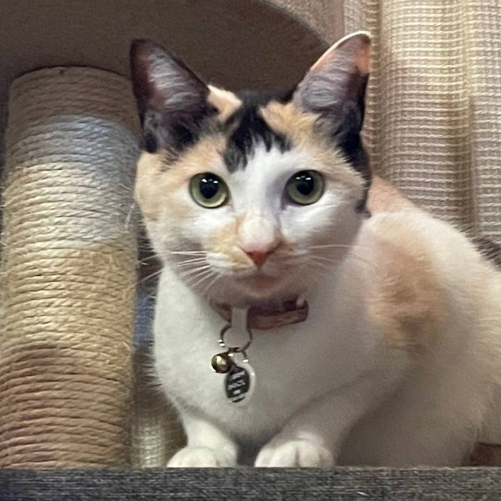 5ed9b4b6 0c0f 44ed acf2 ab90d027c354 1706356437867