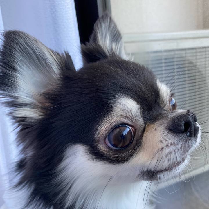 5ed9c106 05f5 42f7 b214 99d2618ba92f 1647058813340