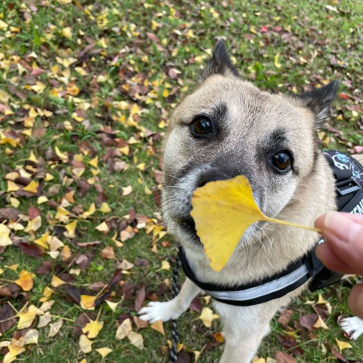 5ed9cccf 22a0 410e ae84 d8c8c32d0435 1731846937462