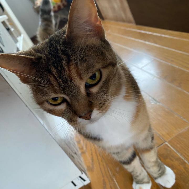 5ed9d84a 1d10 4e07 b9c0 560363e09e9a 1621317525102