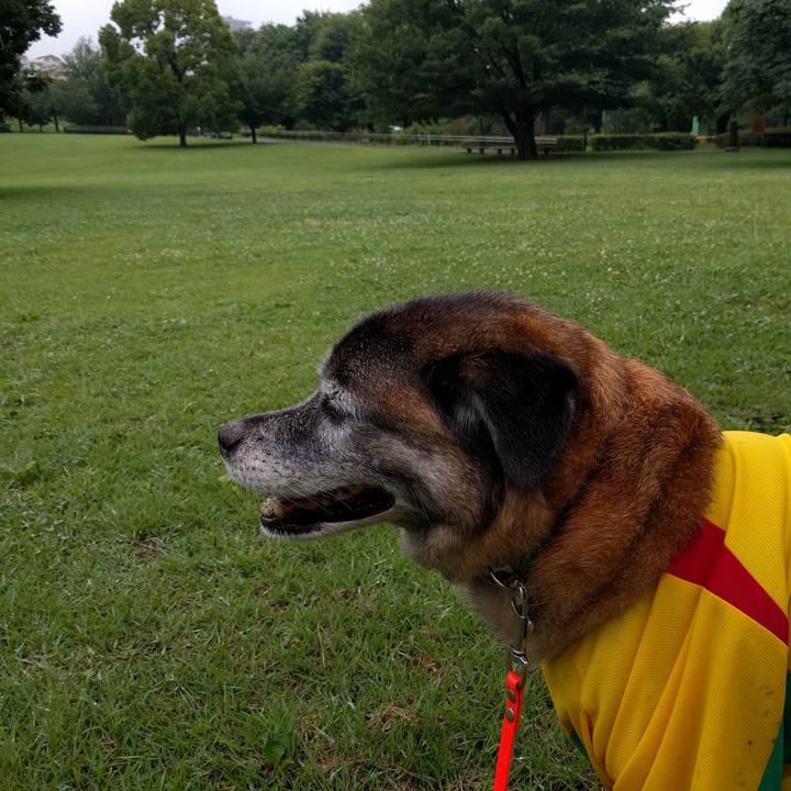 5ed9e302 2be2 4a01 babe ce727665fce9 1531354158302