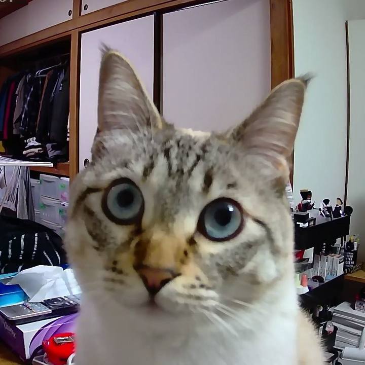 5eda0f27 73a6 4087 b227 4d1328c7bd9f 1524196269615