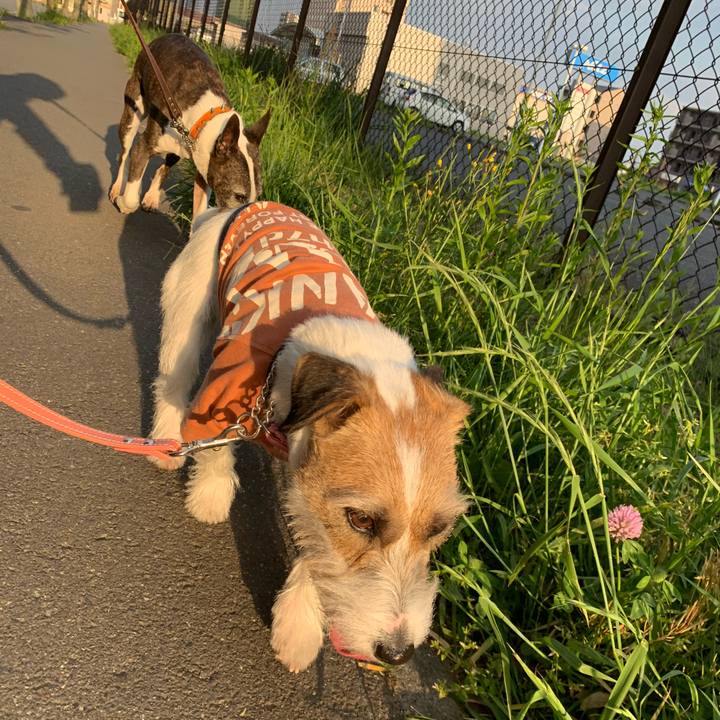 5eda2c26 2719 4a1e b2e4 2c85df3826f1 1619399072756